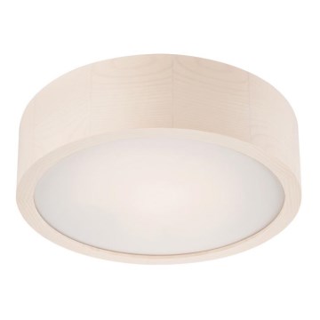 Plafonnier 1xE27/60W/230V pin sylvestre