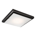 Plafonnier 1xE27/60W/230V pin sylvestre