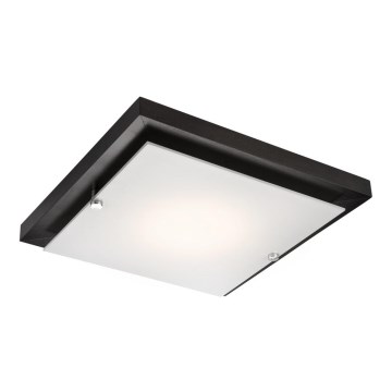 Plafonnier 1xE27/60W/230V pin sylvestre