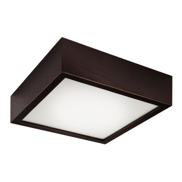 Plafonnier 1xE27/60W/230V pin sylvestre