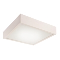 Plafonnier 2xE27/60W/230V pin sylvestre