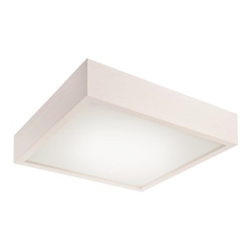 Plafonnier 2xE27/60W/230V pin sylvestre