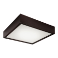 Plafonnier 2xE27/60W/230V pin sylvestre