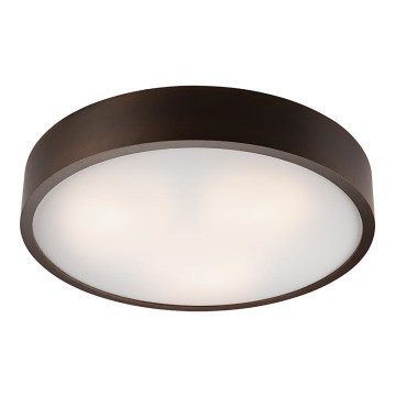 Plafonnier 3xE27/60W/230V pin sylvestre