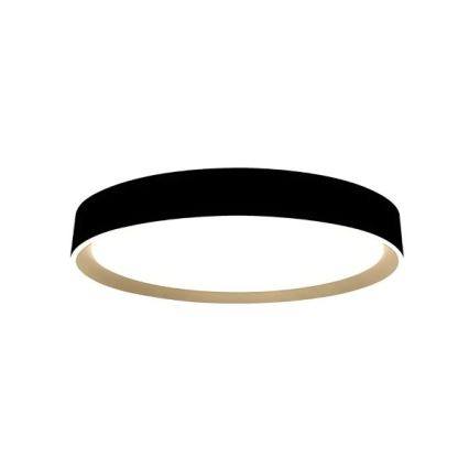 Plafonnier à intensité variable avec commande vocale OPAL LED/48W/230V 2700-6500K noir + Télécommande