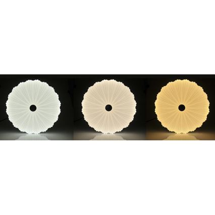 Plafonnier à intensité variable FLOWER LED/36W/230V + télécommande
