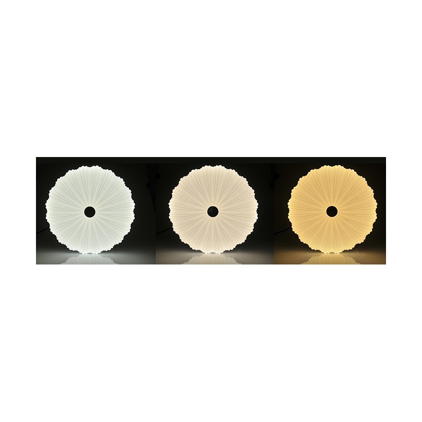 Plafonnier à intensité variable FLOWER LED/36W/230V + télécommande