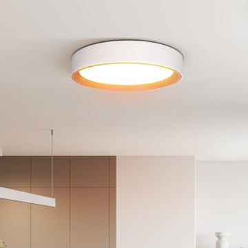 Plafonnier à intensité variable LARIOS LED/48W/230V 3000-6500K d. 39 cm blanc + télécommande