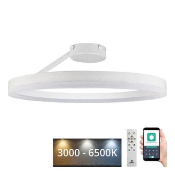 Plafonnier à intensité variable LED/40W/230V 3000-6500K blanc + télécommande