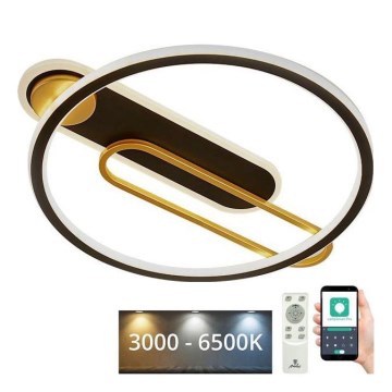 Plafonnier à intensité variable LED/60W/230V 3000-6500K noir + télécommande
