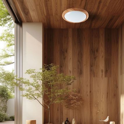 Plafonnier à intensité variable LED/60W/230V 3000-6500K + télécommande