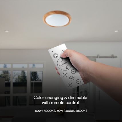 Plafonnier à intensité variable LED/60W/230V 3000-6500K + télécommande