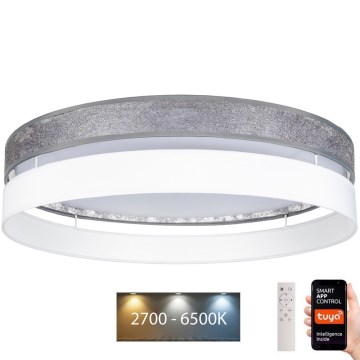 Plafonnier à intensité variable LIMA LED/36W/230V 2700-6500K Wi-Fi Tuya + Télécommande blanc/argenté