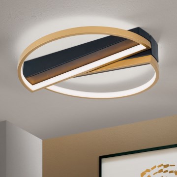 Plafonnier à intensité variable OLGA LED/28W/230V doré/noir