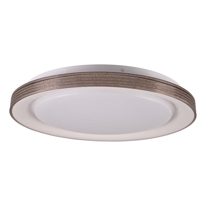 Plafonnier à intensité variable salle de bain GRAŻYNA LED/48W/230V 3000-6000K d. 41 cm IP44 gris + Télécommande