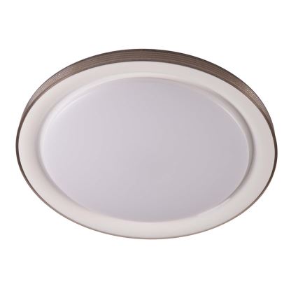 Plafonnier à intensité variable salle de bain GRAŻYNA LED/72W/230V 3000-6000K d. 51 cm IP44 gris + Télécommande