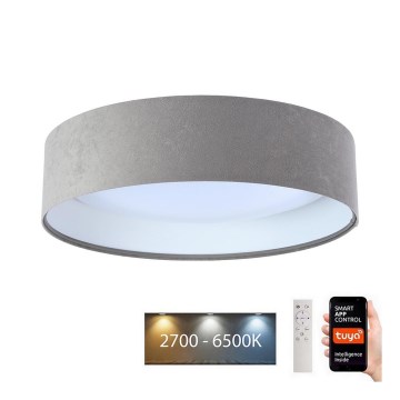 Plafonnier à intensité variable SMART GALAXY LED/24W/230V d. 45 cm 2700-6500K Wi-Fi Tuya gris/blanc + Télécommande