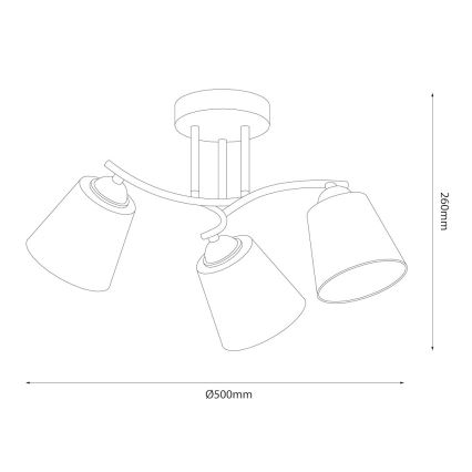 Plafonnier à montage en surface PAFOS 3xE27/15W/230V, noir