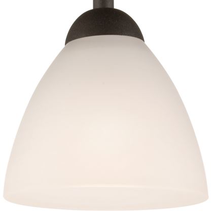 Plafonnier ADRIANO 1xE27/60W/230V hêtre
