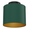 Plafonnier ARDEN 1xE27/15W/230V Ø 18 cm vert
