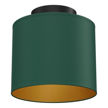 Plafonnier ARDEN 1xE27/15W/230V Ø 18 cm vert