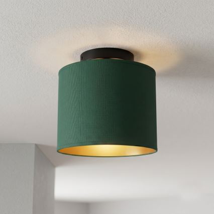 Plafonnier ARDEN 1xE27/15W/230V Ø 18 cm vert