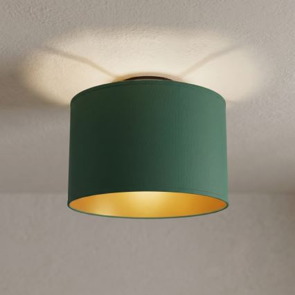 Plafonnier ARDEN 1xE27/15W/230V Ø 25 cm vert