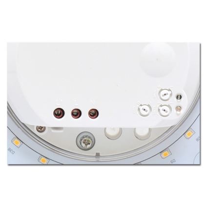 Plafonnier avec détecteur LED salle de bain VICTOR LED/25W/230V IP44