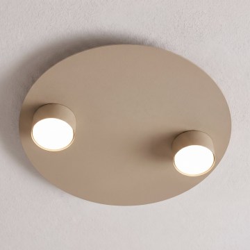 Plafonnier BOLX 2xGX53/10W/230V beige