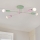 Plafonnier CAMBRIDGE 4xE27/15W/230V vert/rose