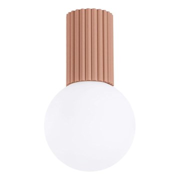 Plafonnier de salle de bain HALO 1xG9/8W/230V d. 12 cm IP44 marron