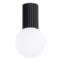Plafonnier de salle de bain HALO 1xG9/8W/230V d. 12 cm IP44 noir