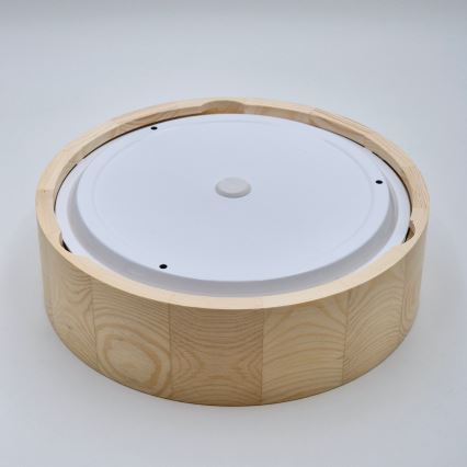 Plafonnier de salle de bain NATURAL 2xE27/15W/230V IP54 pin ø 27 cm