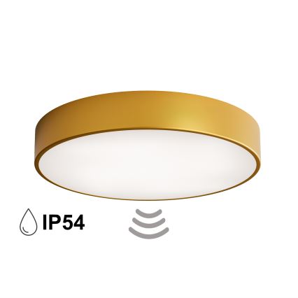 Plafonnier de salle de bains avec détecteur CLEO 4xE27/24W/230V Ø 50 cm IP54 doré
