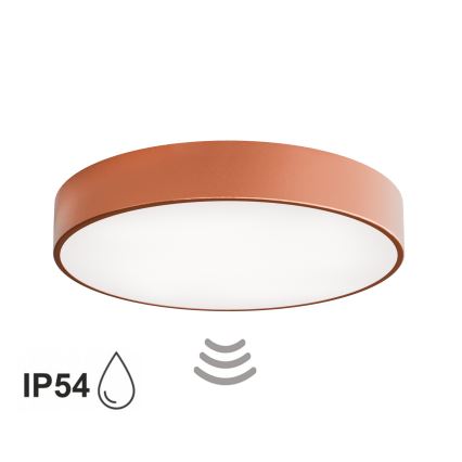 Plafonnier de salle de bains avec détecteur CLEO 4xE27/24W/230V Ø 50 cm IP54 cuivré