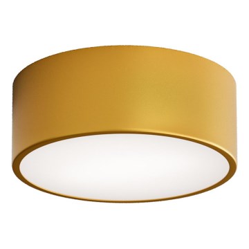 Plafonnier de salle de bains CLEO avec détecteur — 1xE27/24W/230V, Ø 20 cm, IP54, finition dorée