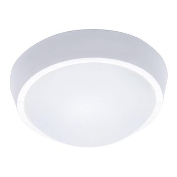 Plafonnier d'extérieur LED/18W/230V  IP65