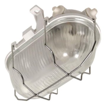 Plafonnier d'extérieur RADUS 1xE27/60W/230V IP54 blanc