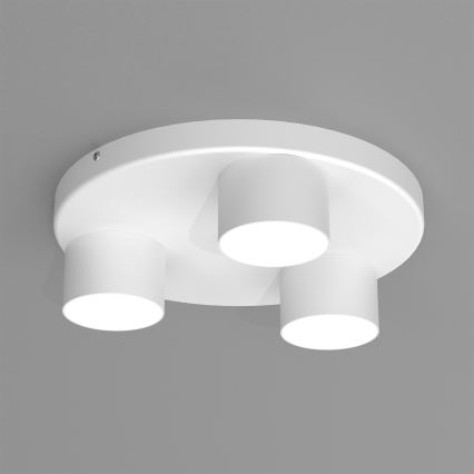 Plafonnier DIXIE 3xGX53/11W/230V blanc