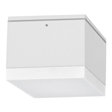 Plafonnier extérieur BRUNO LED/10W/230V IP54