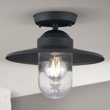 Plafonnier extérieur EDWARD 1xE27/60W/230V IP44 noir