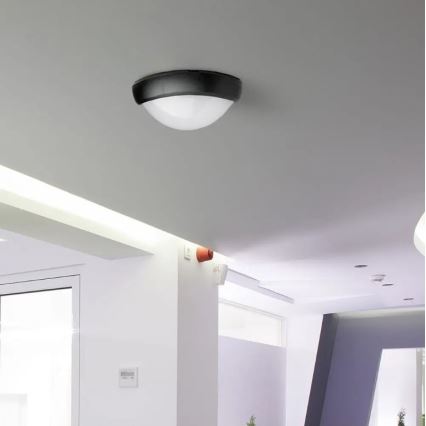 Plafonnier extérieur LED/12W/230V IP54