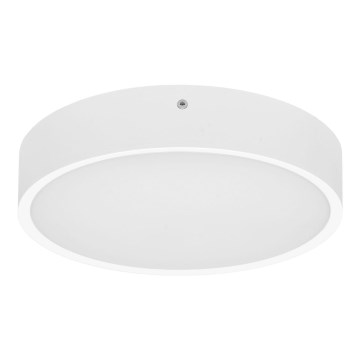 Plafonnier extérieur MARTIN LED/15W/230V 3000/4000K d. 30 cm IP65 blanc