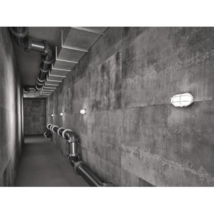 Plafonnier extérieur OVAL 1xE27/60W/230V IP44 blanc
