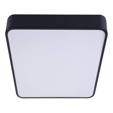 Plafonnier FELIZ LED/50W/230V 4000K 40x60 cm noir