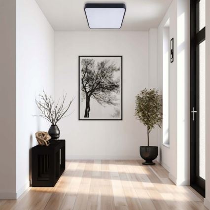 Plafonnier FELIZ LED/50W/230V 4000K 40x60 cm noir