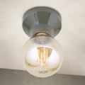 Plafonnier FROST 1xE27/60W/230V gris