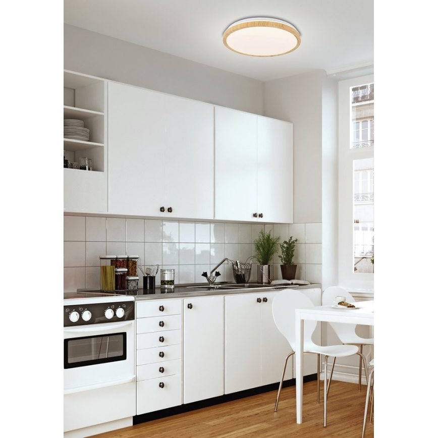 Plafonnier GANDAVA LED/18W/230V