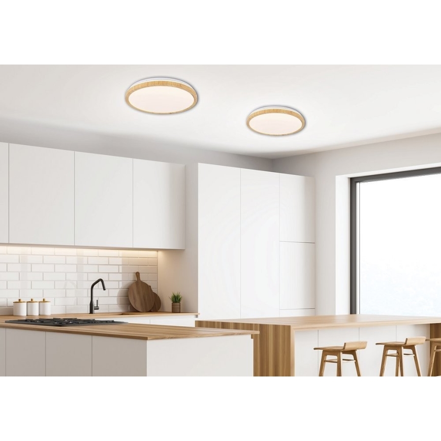 Plafonnier GANDAVA LED/18W/230V