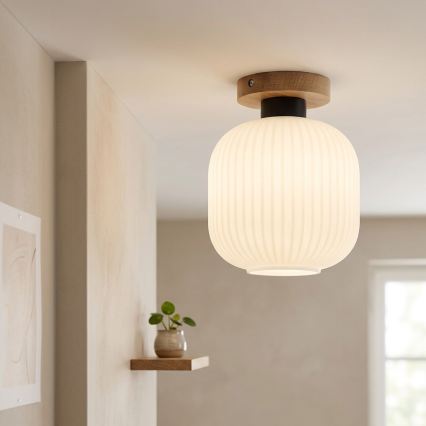 Plafonnier HARMA WOOD 1 x E27 / 15 W / 230 V, chêne/blanc, Ø 20 cm